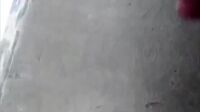 Bokep Bocil perawan putih cantik