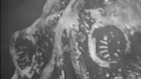Doctor Who (1963) S03E04 - Galaxy 4 part 4 The Exploding Planet [missing].mp4