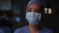 Grey's Anatomy S14 Ep20.mp4