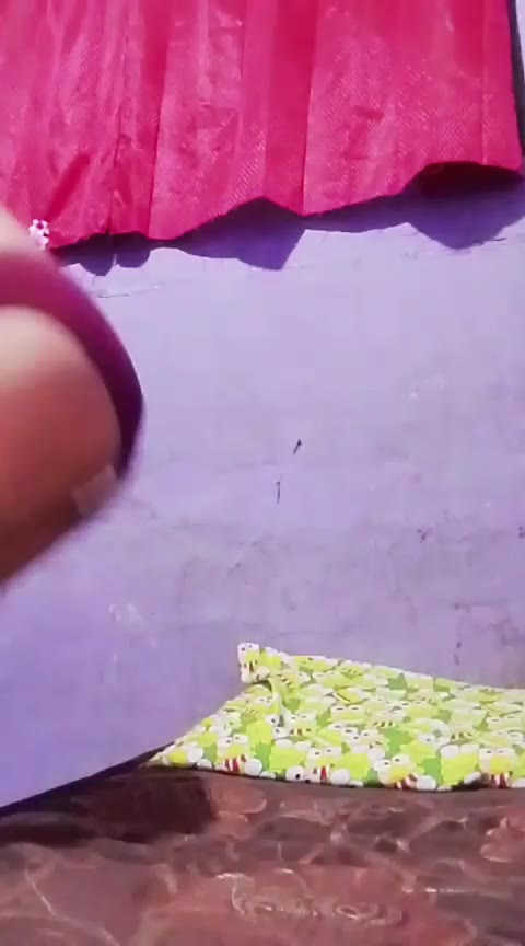 Aluna ID 5666349 Papaya Live telegram bot @DSrecordbot