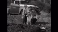 Lassie S06E13 - The Man From Mars.mp4