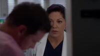 Grey's Anatomy S12 Ep21.mp4