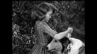 Lassie S05E33 - Teamwork.mp4