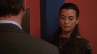 NCIS S04E15 - Friends & Lovers.mp4