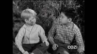 Lassie S06E16 - Alias Jack and Joe.mp4