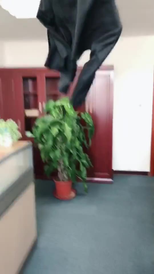 #正装#我来了，请接住！对于上班族的我来说只能在