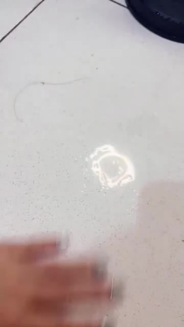 chacha08 ID 1923263093788065794 Hot51 telegram bot @DSrecordbot