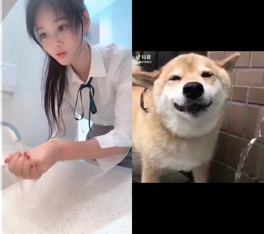 #正装#和  曦儿 一起 ……。 我很认真的找了