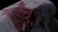 Masters of Horror S02E03 - The V Word.mp4