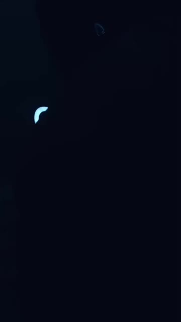 EweBrutal ID 1992437519580340226 Hot51 telegram bot @DSrecordbot