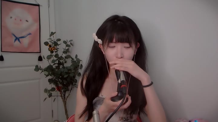 ASMR 免疫老司机的1000触发音 口腔音 敲击 掏耳 1000 triggers