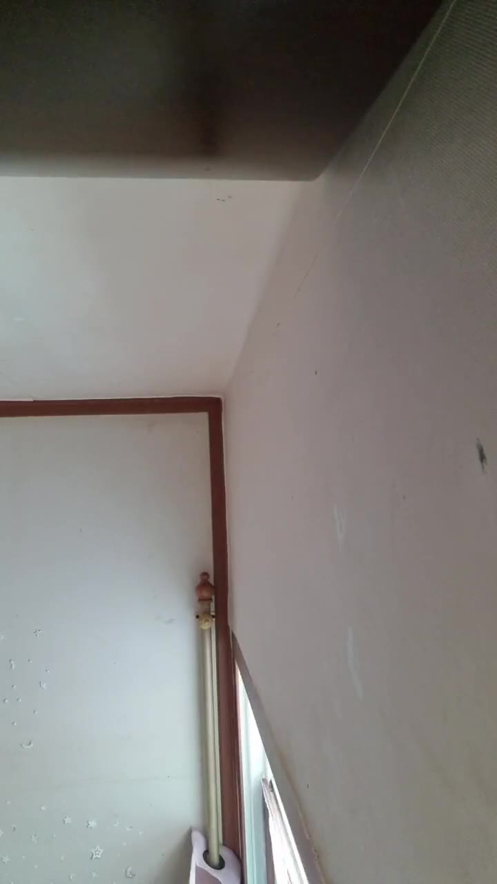 #silver588 silver588_20250720_1700.mp4 @kbjba