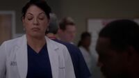 Grey's Anatomy S12 Ep08.mp4