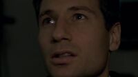 The X-Files S02E18 - Fearful Symmetry.mp4