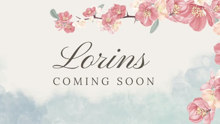 #lorins2002 lorins2002_20250718_1700.mp4 @kbjba