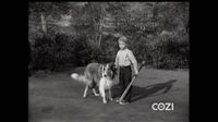 Lassie S05E39 - Lassie's Guest.mp4