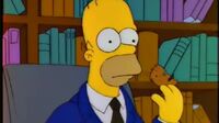 Simpsons S04E13 - Selma's Choice.mp4