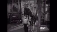 Lassie S05E34 - Stable Mates.mp4