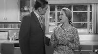 Bewitched S02E25 - The Horse's Mouth.mp4