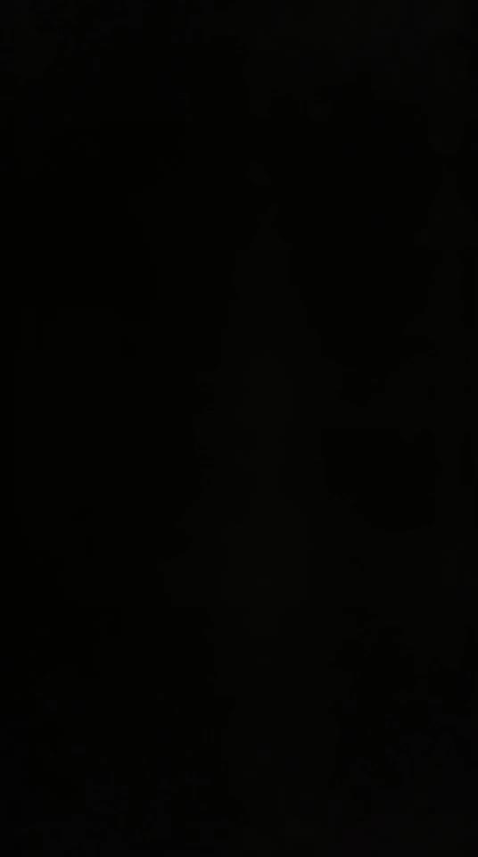 Dear Queen ID 4593050 Papaya Live telegram bot @DSrecordbot