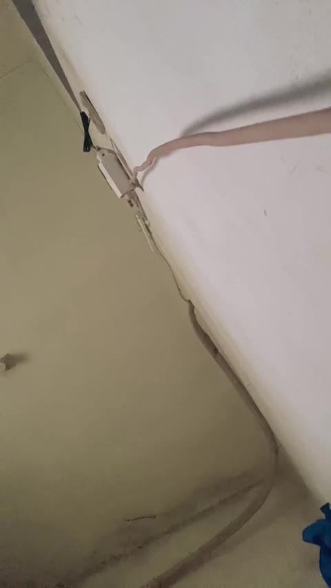 Noyek ID 1850887671891124225 Hot51 telegram bot @DSrecordbot