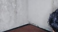 Video Bokep Janda Muda Dipuasin Brondong Bertato Video Bokep Janda Muda Dipuasin Brondong Bertato