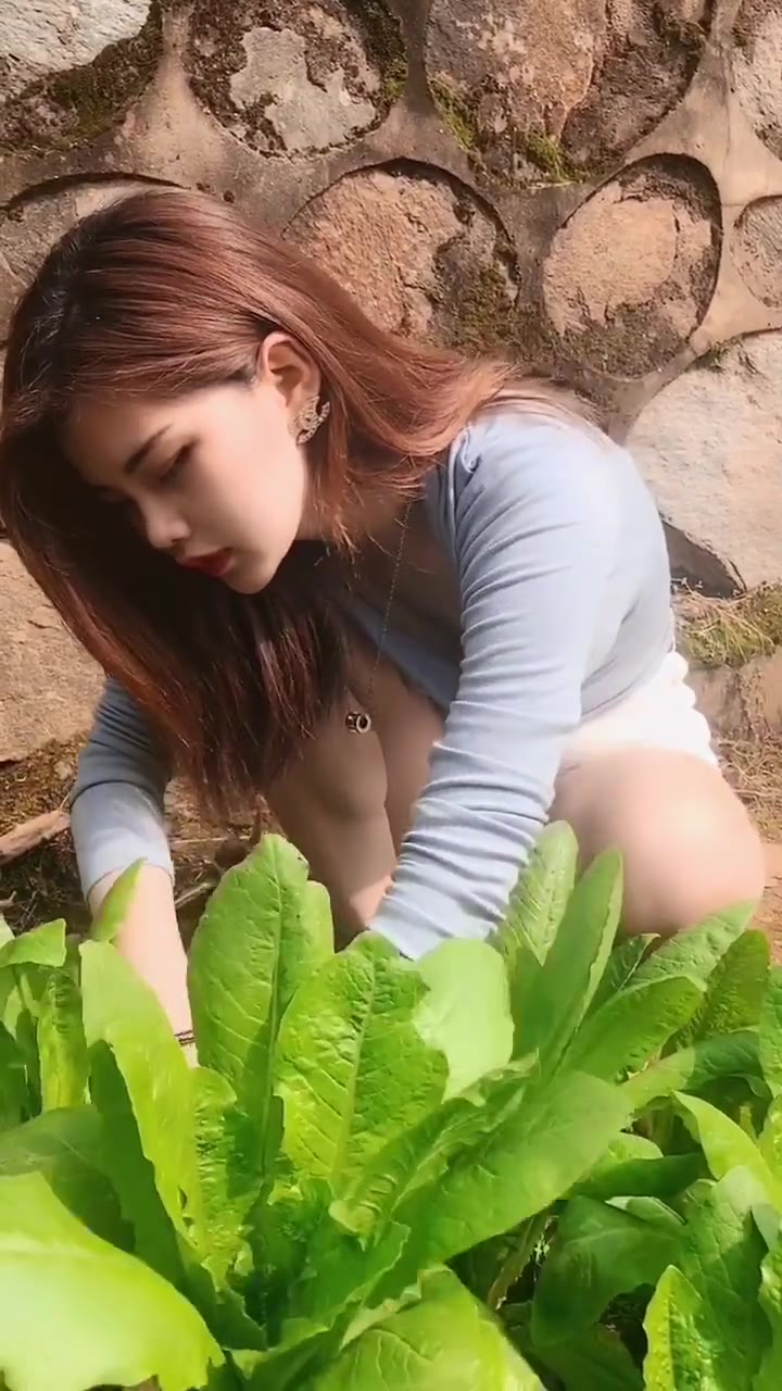 微拍No.3542