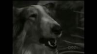 Lassie S06E36 - The Fog.mp4
