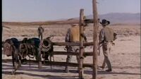 Wagon Train S07E15 - The Fenton Canaby Story.mp4