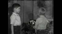 Lassie S04E30 - The Penguin.mp4