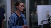 A Anatomia de Grey S18 E20.mp4
