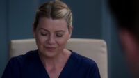 Grey's Anatomy S14 Ep17.mp4