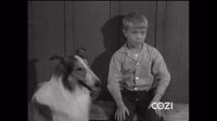 Lassie S06E27 - Clementine.mp4