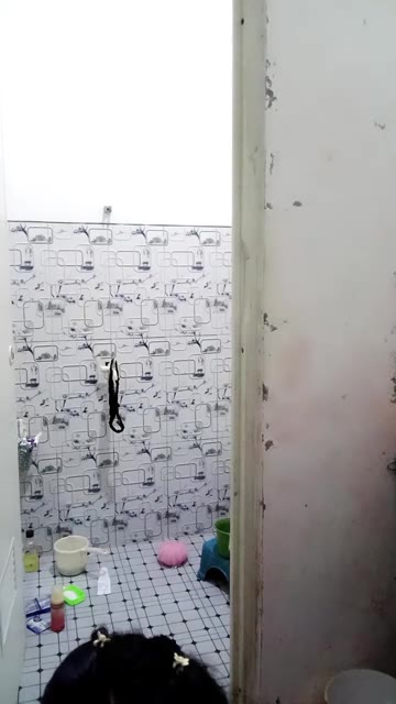 berlie123 ID 1974913130245849090 Hot51 telegram bot @DSrecordbot