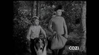 Lassie S05E08 - Trapped.mp4
