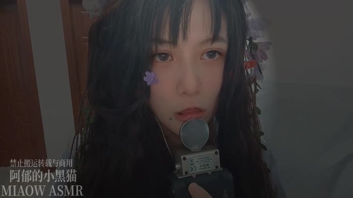 #miaow #asmr #本土