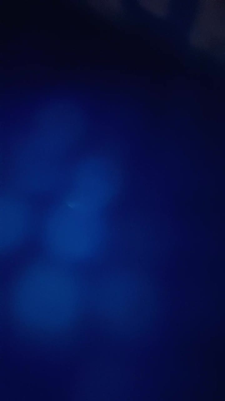 Noyek ID 1850887671891124225 Hot51 telegram bot @DSrecordbot