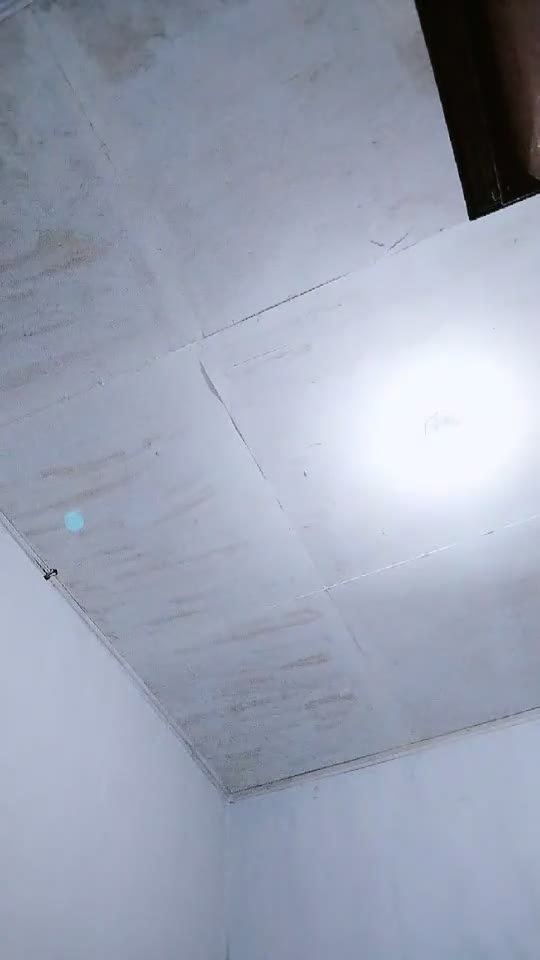 Libraa ID 4369621 Papaya Live telegram bot @DSrecordbot