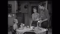 Lassie S04E17 - The Baby-Sitter.mp4