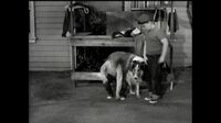 Lassie S05E37 - Swami.mp4