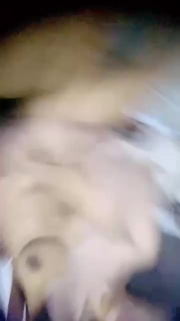 ANICC ID 1925457345910784001 Hot51  - Thumbnail