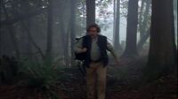 The X-Files S02E09 - Firewalker.mp4