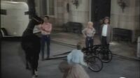The Beverly Hillbillies S04E17 - The Trotting Horse.mp4