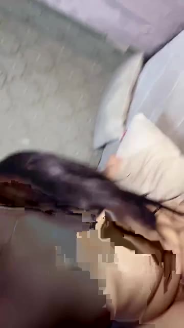 bbysintaa ID 1908574075708047362 Hot51 telegram bot @DSrecordbot