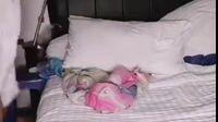 Video Bokep Brondong Vs Tante Pirang Video Bokep Brondong Vs Tante Pirang