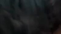 Skandal Abg Alyna 1 Skandal Abg Alyna 1