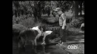 Lassie S05E07 - Fish Out of Water.mp4