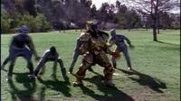 Mighty Morphin Power Rangers S01E51 - Grumble Bee.mp4