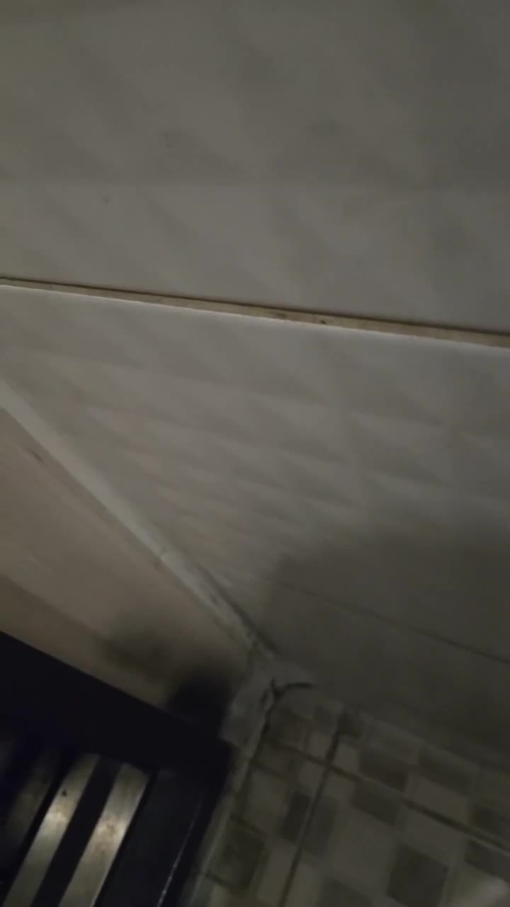 #1919152 1919152_20250822_0311.mp4 @kbjba