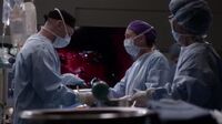 A Anatomia de Grey S16 E15.mp4